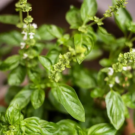 L'atypique, La Vue Et Le Standing Du 36 ! Emplacement, Clim Et Exterieur ! * Carcassonne