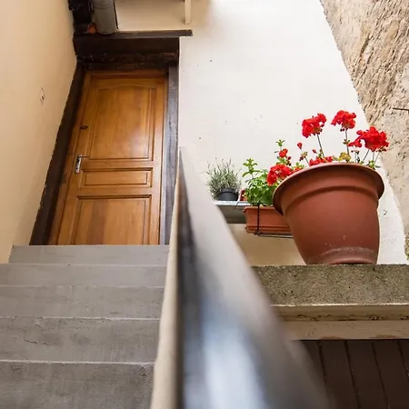 Appartement L’atypique Du 36 Rue Trivalle N°1 Carcassonne