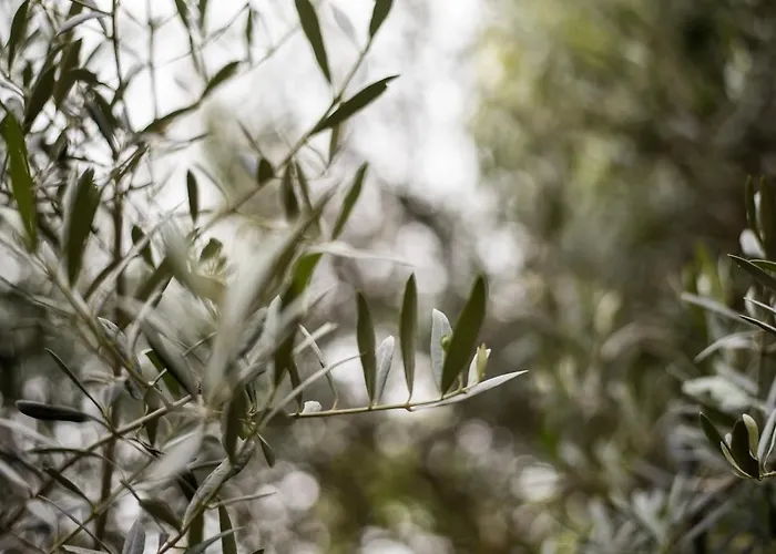 L'atypique, La Vue Et Le Standing Du 36 ! Emplacement, Clim Et Extérieur ! Apartamento *