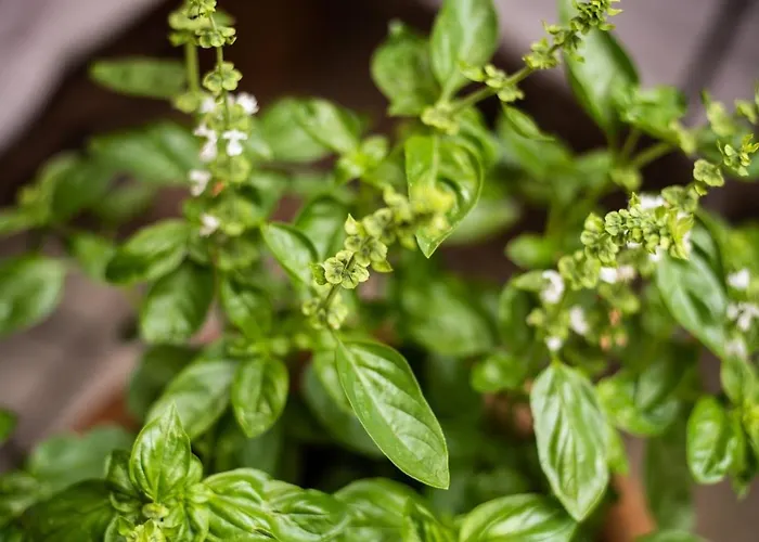 L'atypique, La Vue Et Le Standing Du 36 ! Emplacement, Clim Et Exterieur ! * Carcassonne
