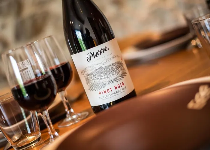 L'atypique, La Vue Et Le Standing Du 36 ! Emplacement, Clim Et Exterieur ! * Carcassonne