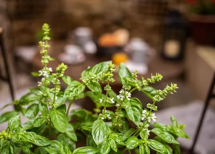L'atypique, La Vue Et Le Standing Du 36 ! Emplacement, Clim Et Extérieur ! * Carcasona